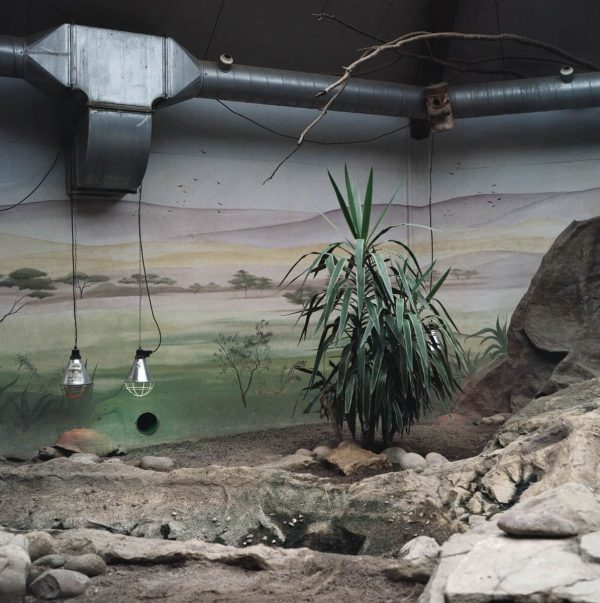 Guillaume_Restesavenir_15