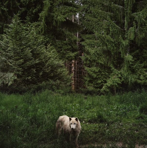 Guillaume_Restesavenir_17